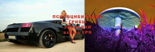 винт Арсеньев