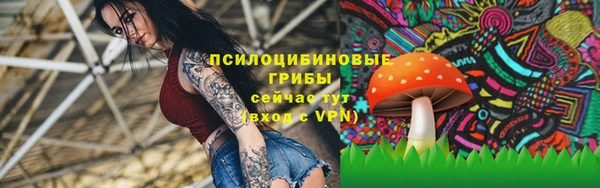 соль курить ск Армянск
