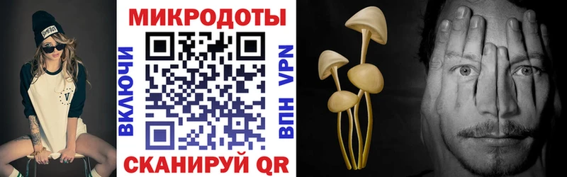 Купить где  Кола  Галлюциногенные грибы мицелий 